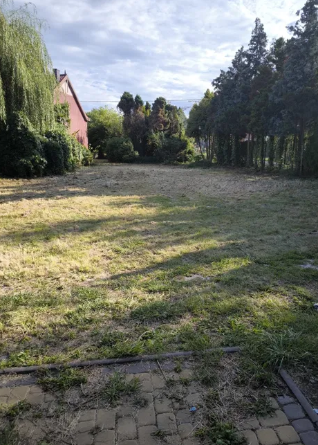 Teren po koszeniu