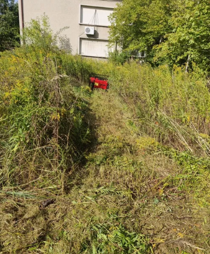Pas wykoszony w wysokich chwastach