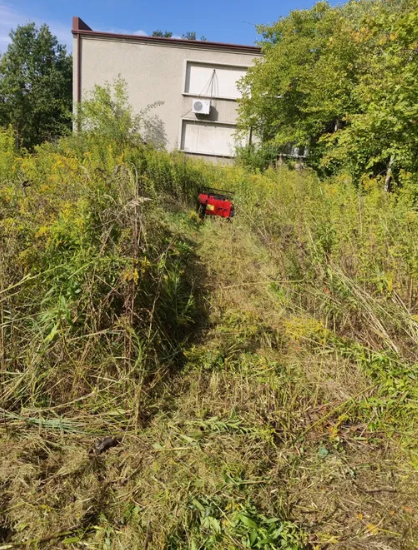 Koszenie zarośniętej działki przy budynku