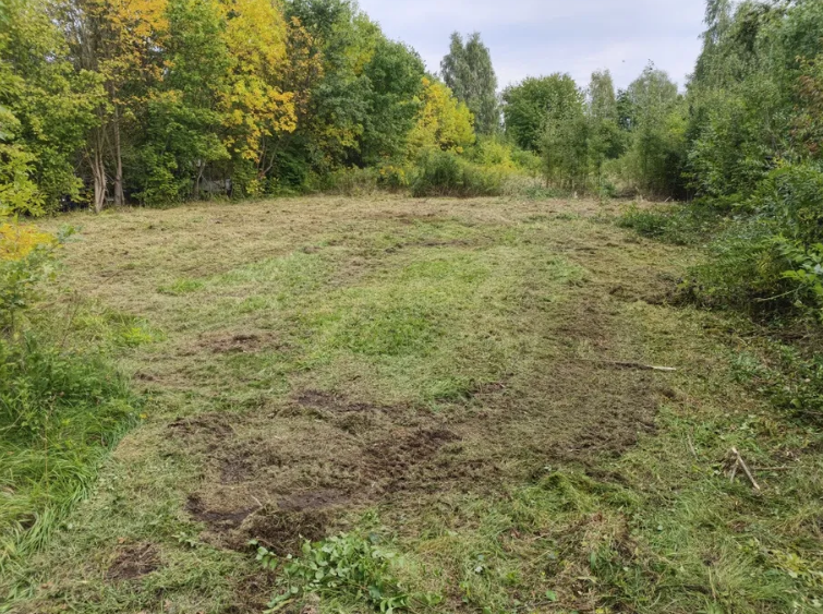 Skoszona łąka po zakończeniu prac